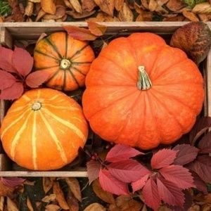 Meet your Posher, Tom